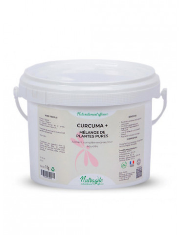 Curcuma + Nutragile, 1 kg | Nature Horse Langon