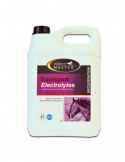 Equisport Electrolytes 5L - Nature Horse Langon