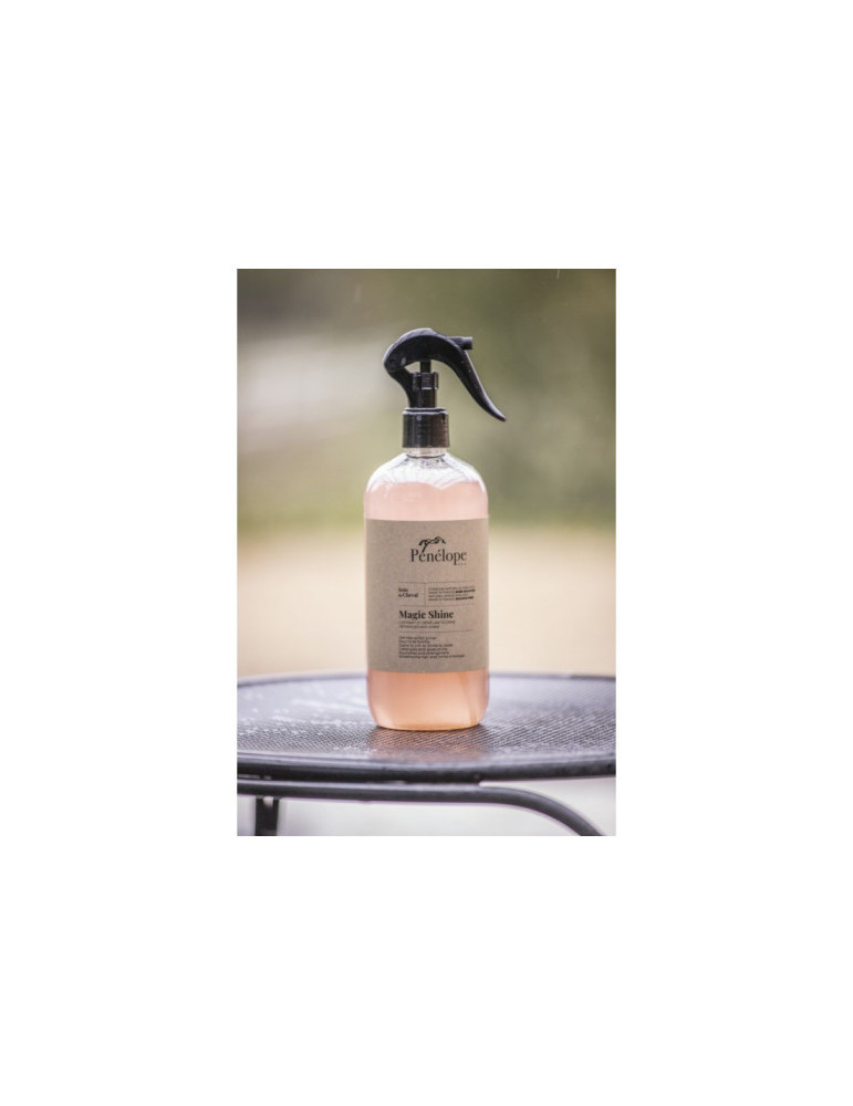 LUSTRANT Magic Shine 500ML