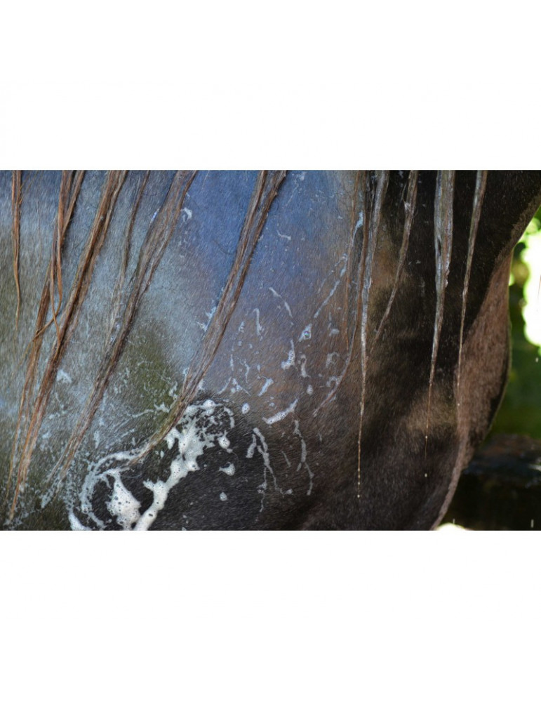 Shampoing Easy Shine Grey Ravene, 500 ml | Nature Horse Langon