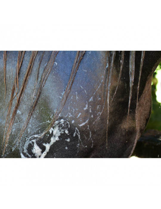 Shampoing Easy Shine Grey Ravene, 500 ml | Nature Horse Langon