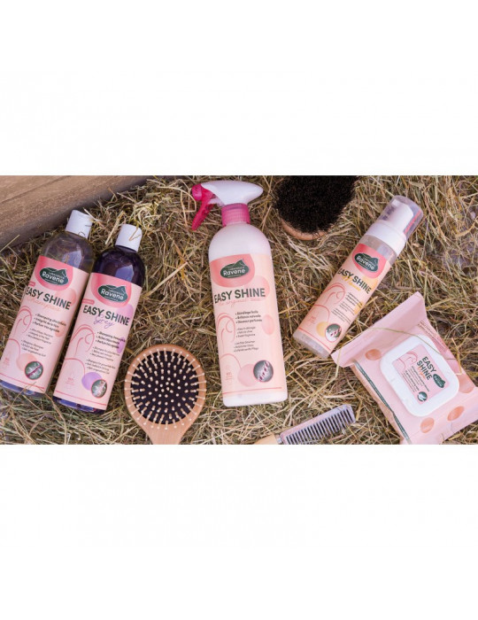 Shampoing easy shine grey 500ml