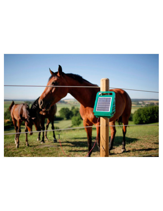 Électrificateur solaire Ako Sun Power S250 – Autonome, batterie intelligente, 3 ans de garantie