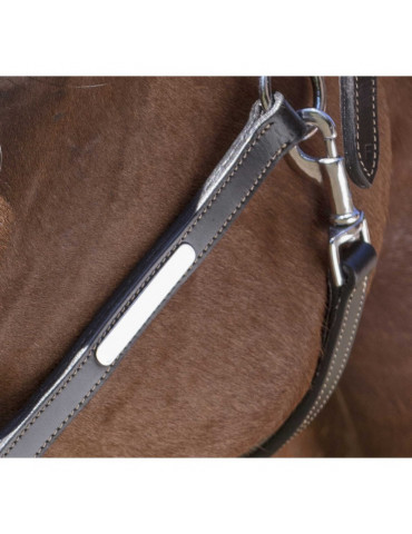 Licol cuir Norton PRO marron FULL 2