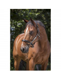 Licol cuir Norton PRO marron FULL - Nature Horse