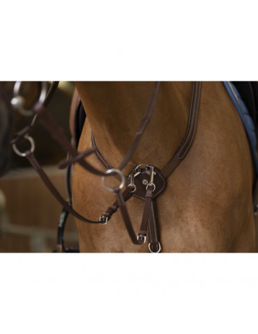 Collier de chasse marron taille cheval norton