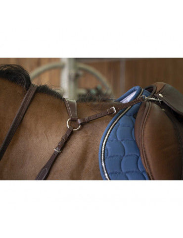 Collier de chasse marron taille cheval norton 2