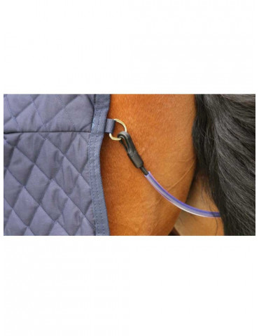 Courroie de queue poney