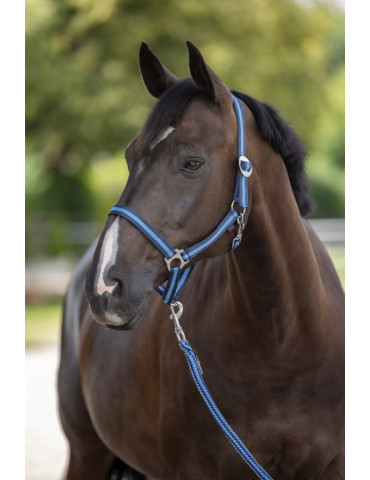 Licol Kerbl, taille Poney