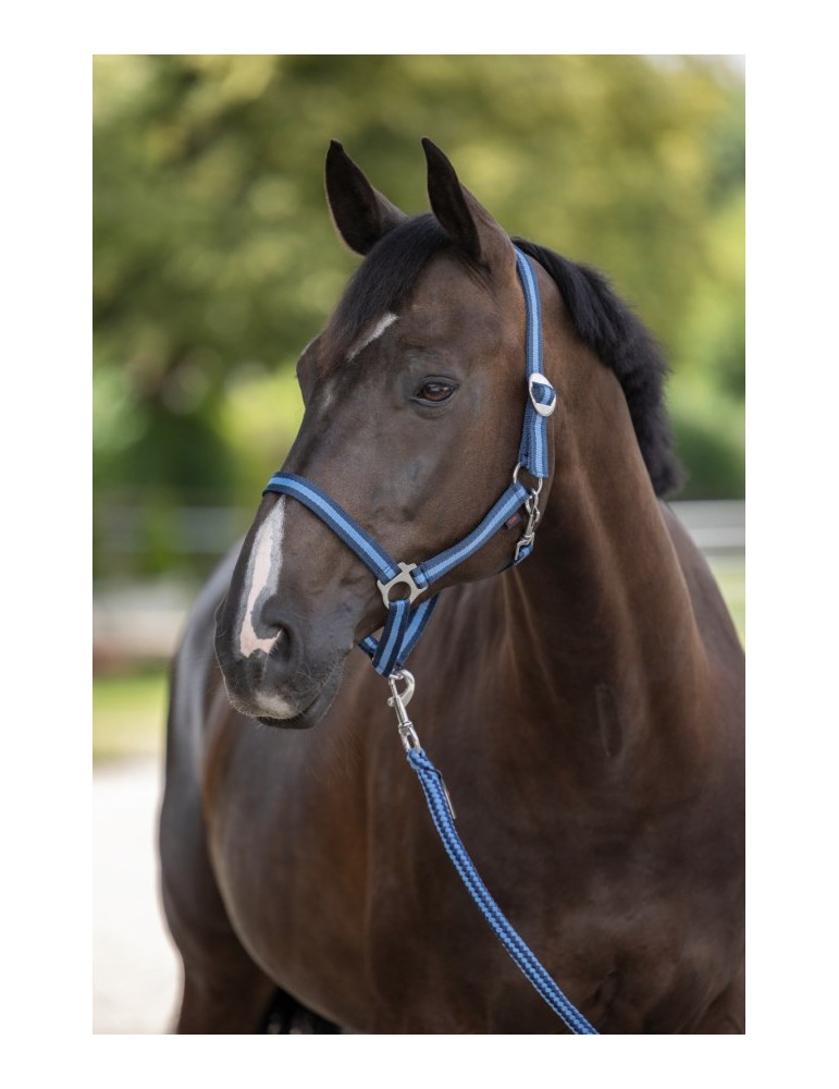 Licol Kerbl, taille Poney