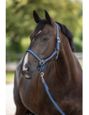 Licol Kerbl, taille Poney