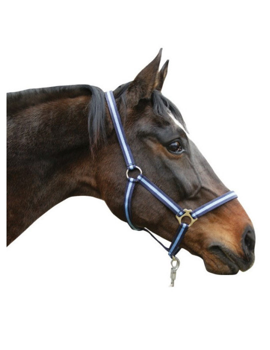 Licol Kerbl, taille Poney