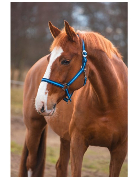 Licol Kerbl, taille Poney