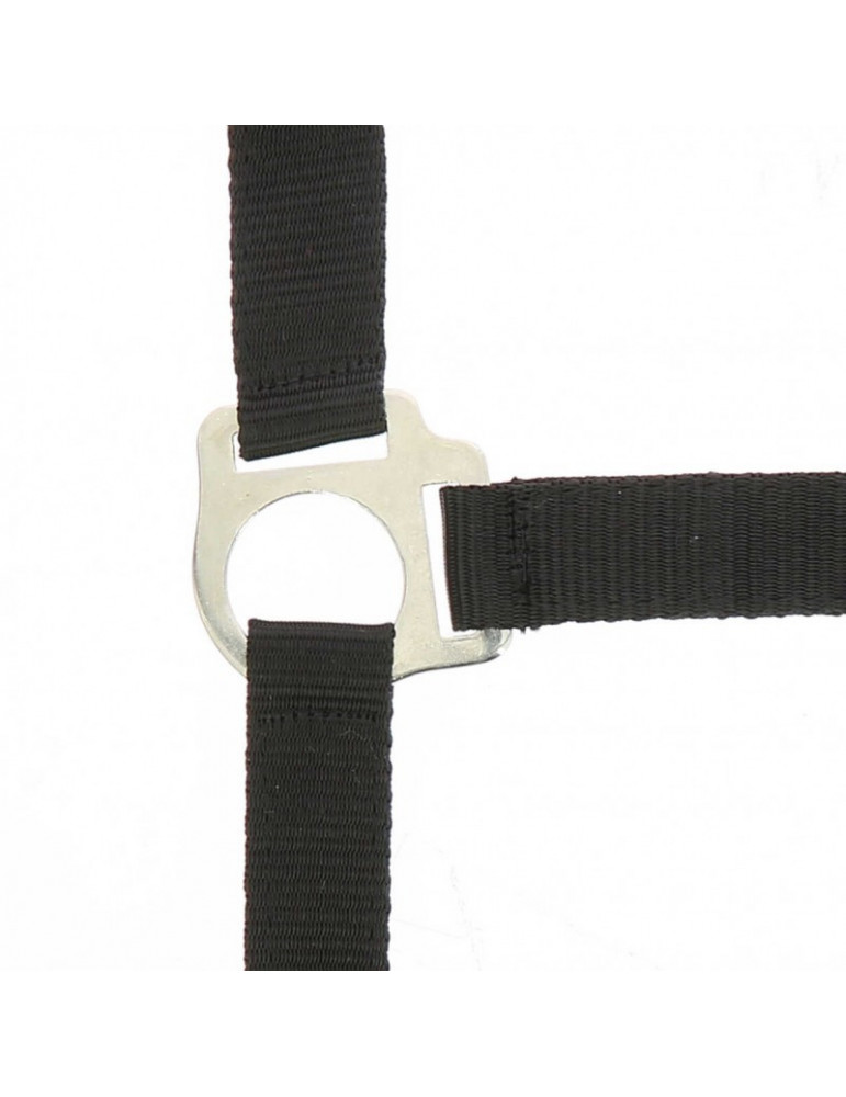 Licol + longe Riding World noir, taille Full