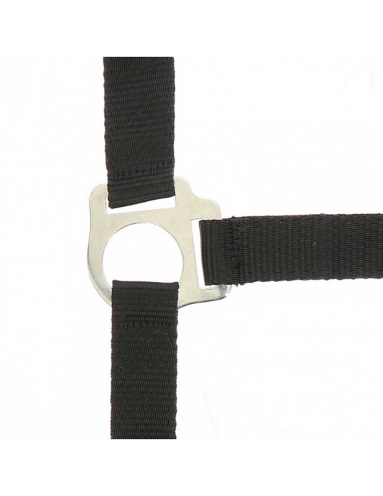 Licol + longe Riding World noir, taille Full