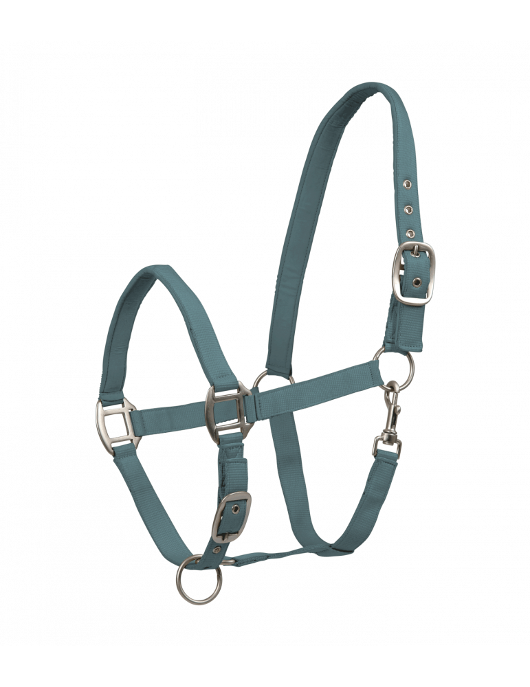 Licol PERLON satin vert pin COB