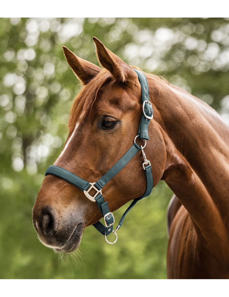 Licol PERLON satin vert pin COB