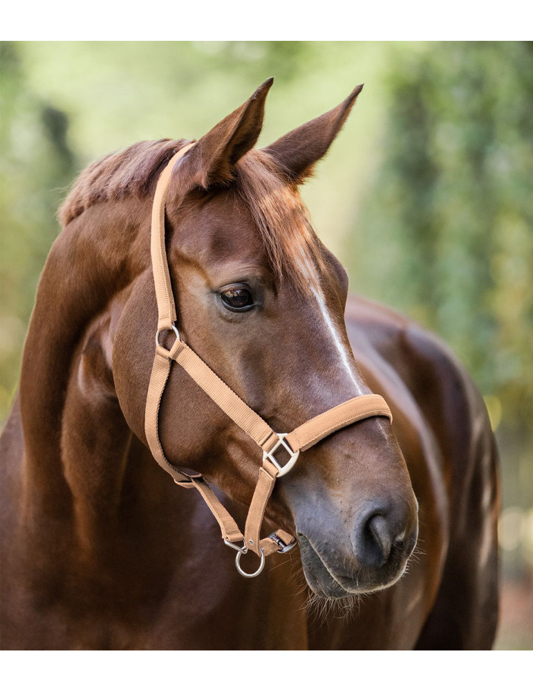 Licol PERLON satin pêche FULL