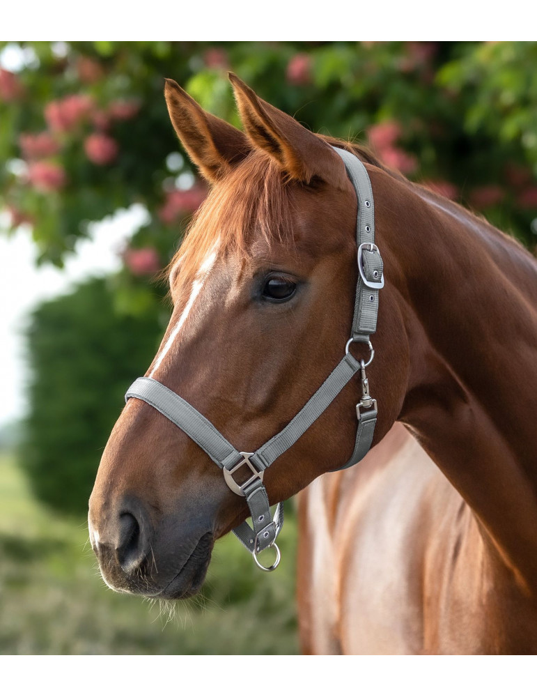 Licol PERLON satin gris chrome FULL