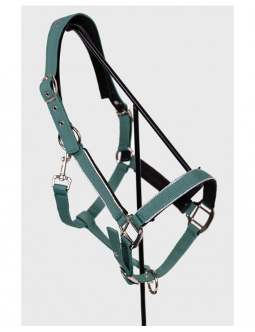 Licol + Longe Bamara Paon Cheval