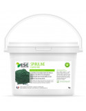 Spiruline 1kg - Nature Horse Langon