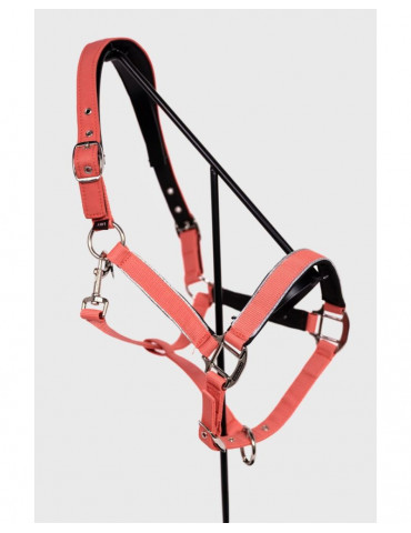 Licol + Longe Bamara Pamplemousse Cheval