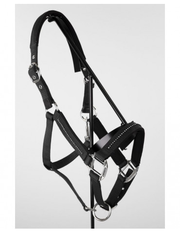 Licol + Longe amour Noir cob