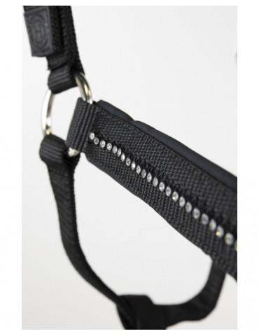 Licol + Longe amour Noir cob 2