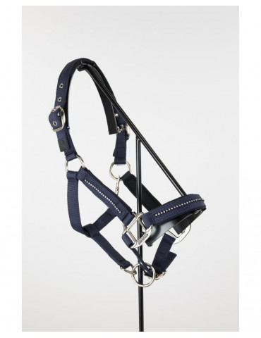 Licol + Longe amour Navy cob