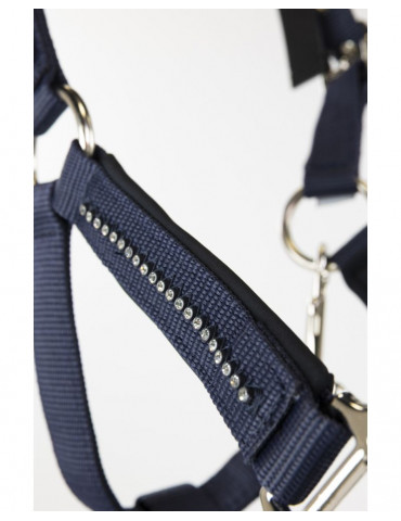 Licol + Longe amour Navy cob 2