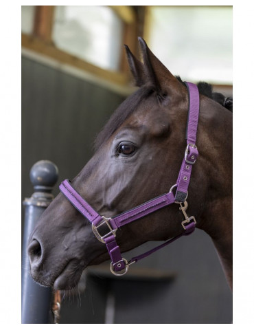 Licol + Longe amour Figue Poney