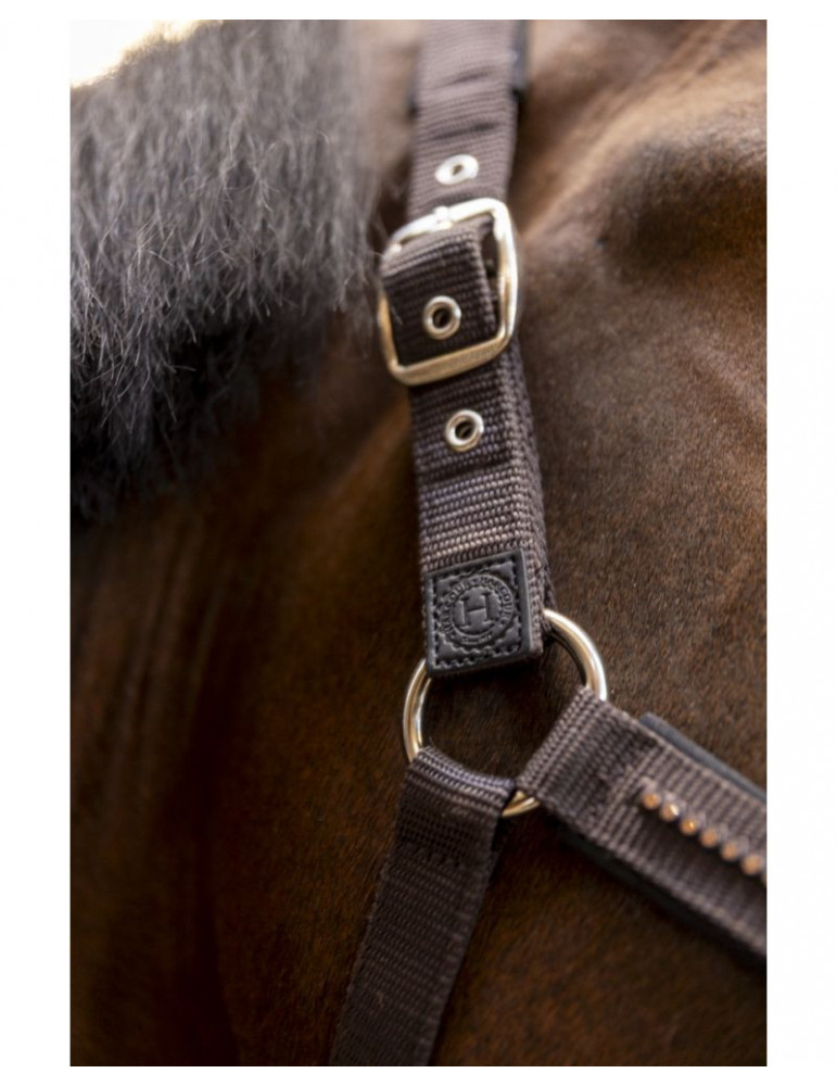 Licol + longe Harcour Amour cacao, taille Cob