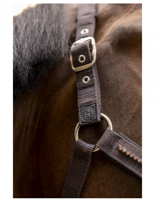 Licol + longe Harcour Amour cacao, taille Cob