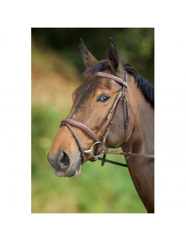 COMFORT BRIDLE - BROWN - COB