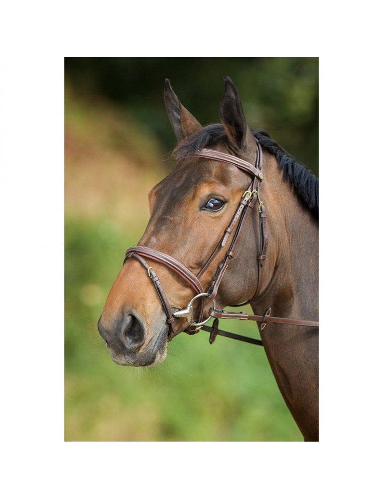 Bridon Comfort HFI marron, taille Cob | Nature Horse Langon