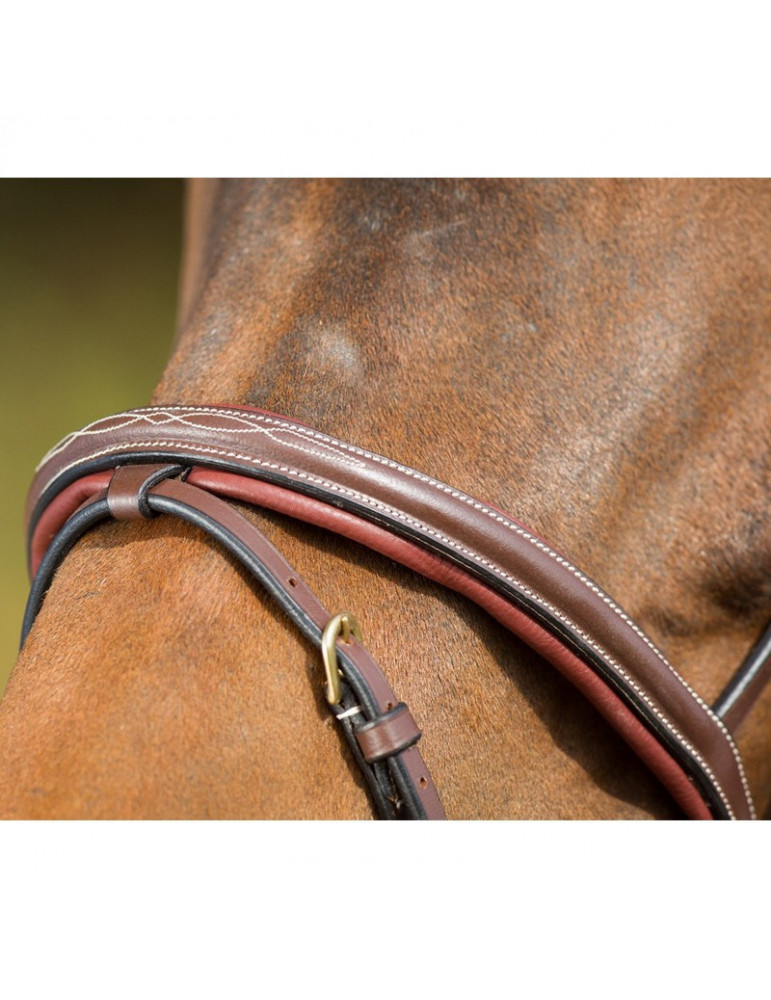 Bridon Comfort HFI marron, taille Cob | Nature Horse Langon