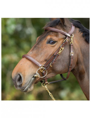 COMBO BRIDLE/HALTER - BLACK - COB