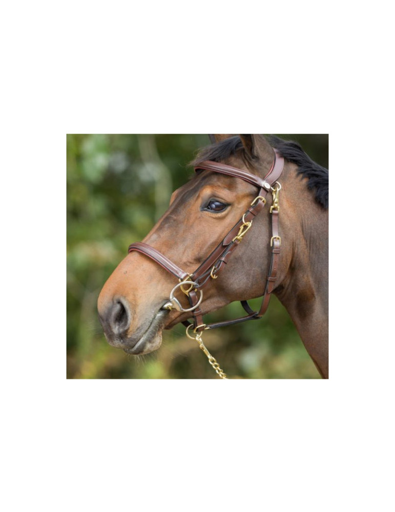 Bridon-licol Combo HFI noir, taille Cob | Nature Horse Langon