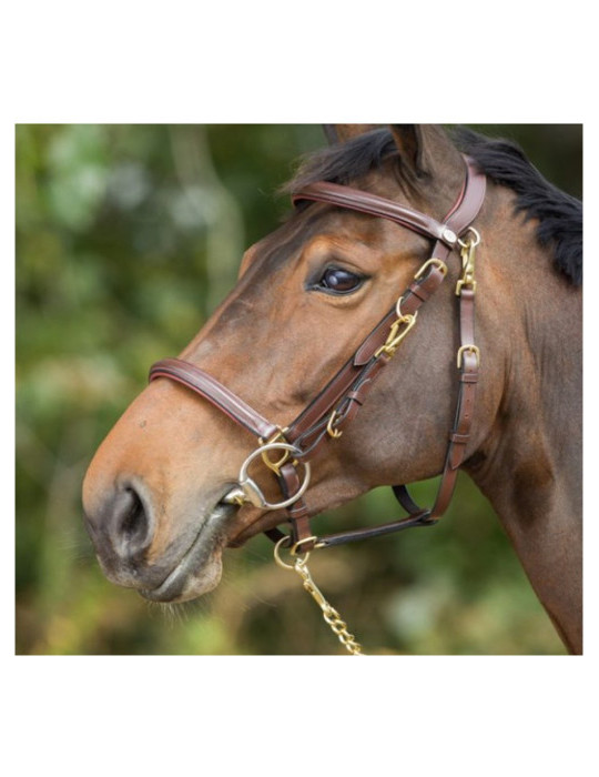 Bridon-licol Combo HFI noir, taille Cob | Nature Horse Langon