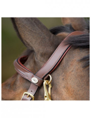 Bridon-licol Combo HFI noir, taille Cob | Nature Horse Langon 2