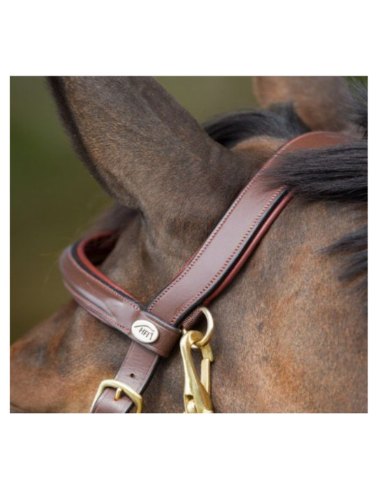 Bridon-licol Combo HFI noir, taille Cob | Nature Horse Langon