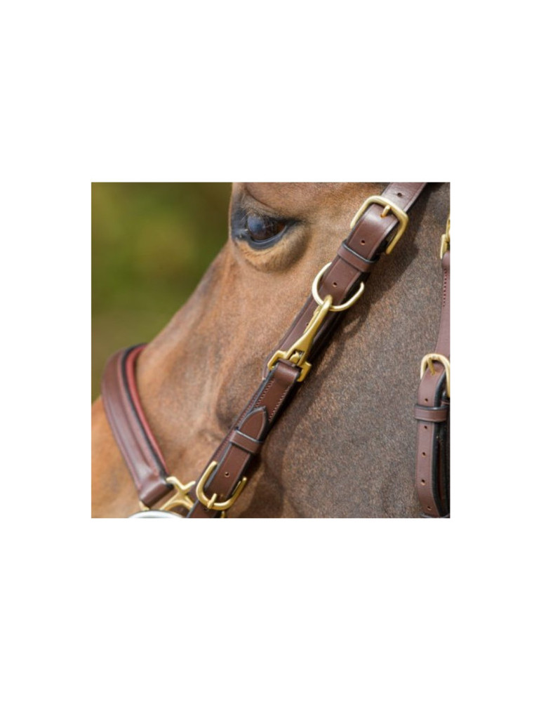 Bridon-licol Combo HFI noir, taille Cob | Nature Horse Langon