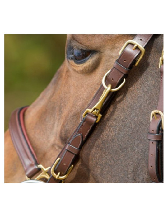 Bridon-licol Combo HFI noir, taille Cob | Nature Horse Langon