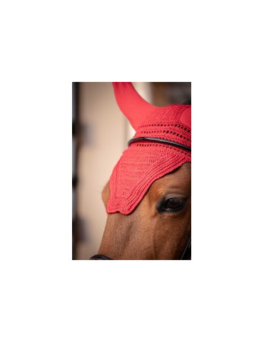 Bonnet Prems paddock Rouge COB 2