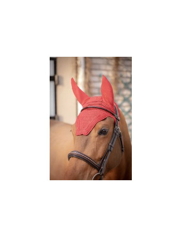 Bonnet Prems Paddock rouge, taille Cob