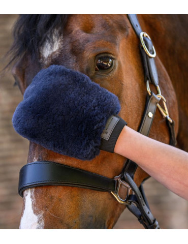 Gant de pansage Lucky Bleu nocturne 2