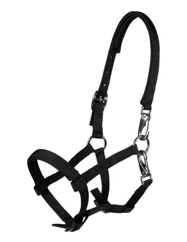 Licol poulain HKM Millie noir