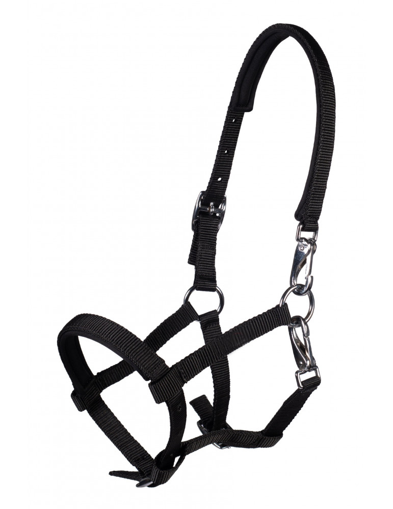 Licol poulain MILLIE noir