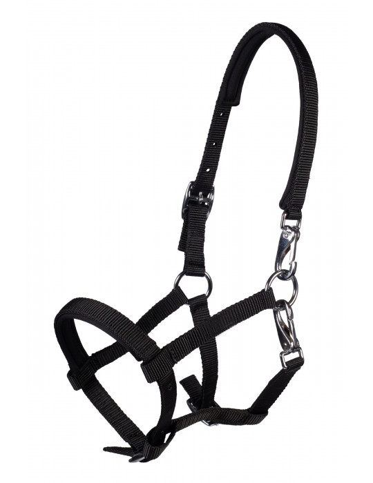 Licol poulain MILLIE noir