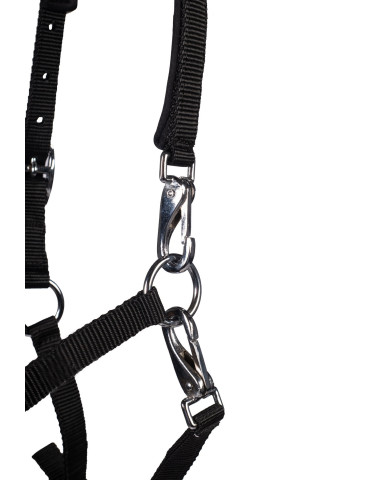 Licol poulain HKM Millie noir 2